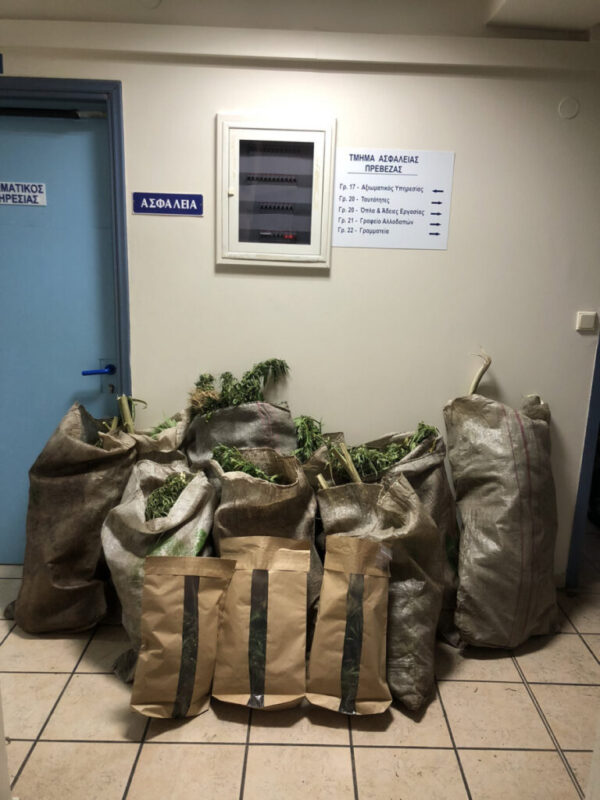 Συνελήφθησαν από το Τμήμα Ασφάλειας Πρέβεζας δύο ημεδαποί για κατοχή και καλλιέργεια ναρκωτικών