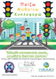 ΑΦΙΣΑ ΔΡΑΣΗΣ ΤΡΟΧΑΙΑΣ e1668770180907