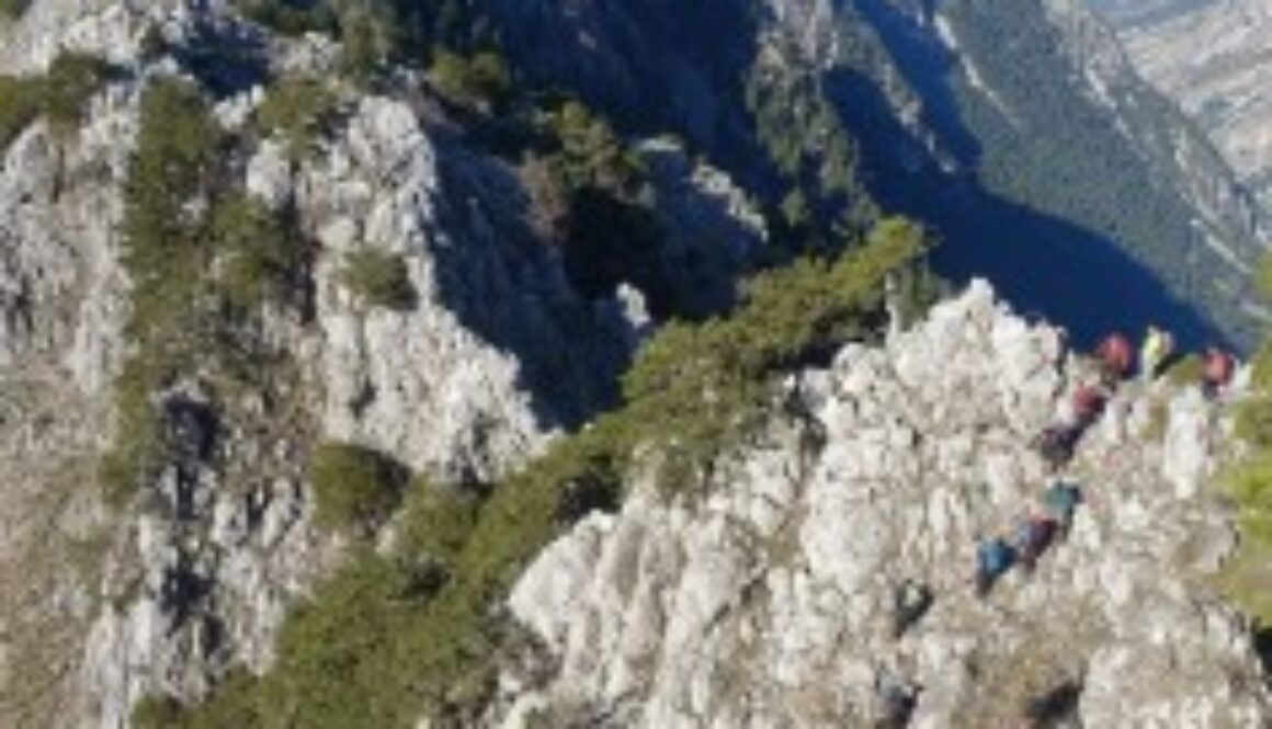 78487825 918084031925814 1931954651419115520 o fill 237x356 1