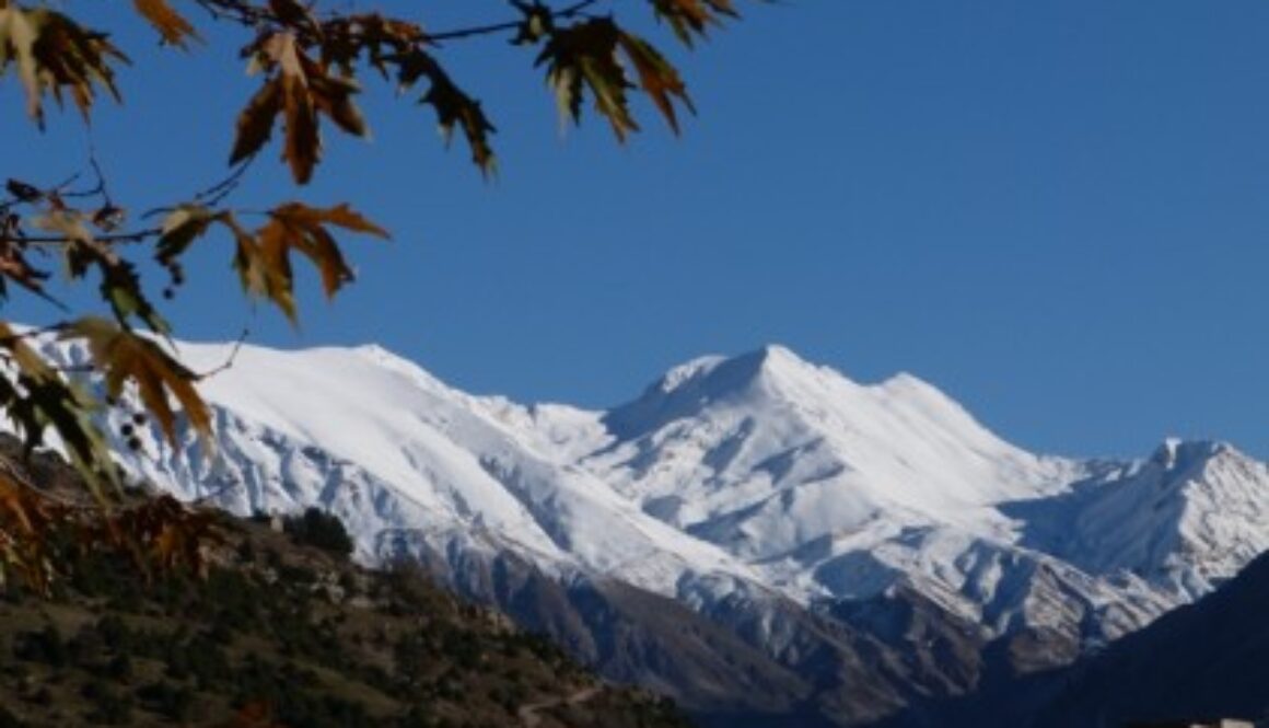 P1260986 fill 421x316 1