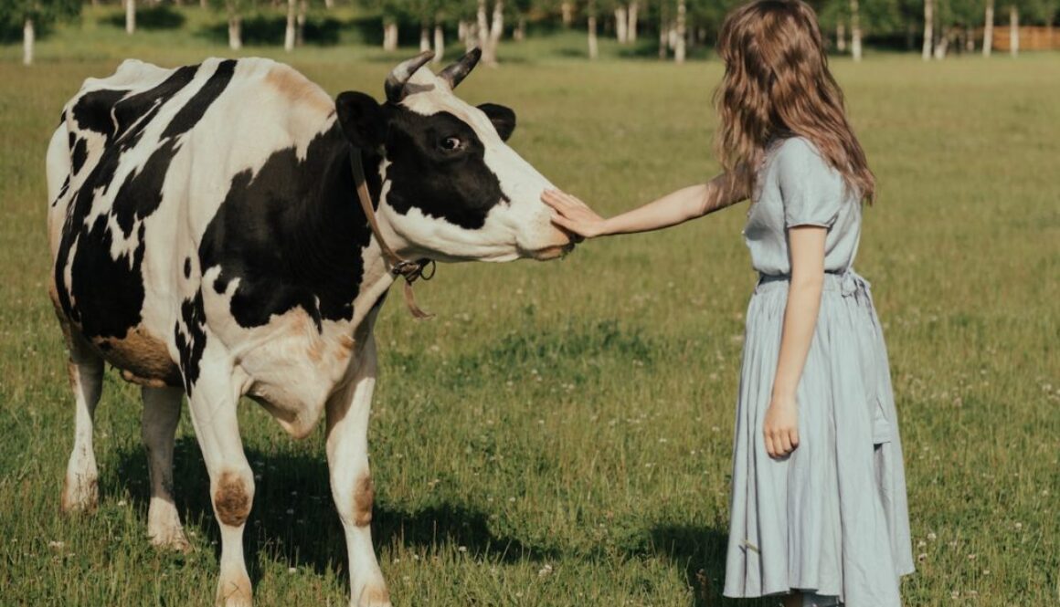 pexels cottonbro studio 4919674 e1669816552466 1024x898 1