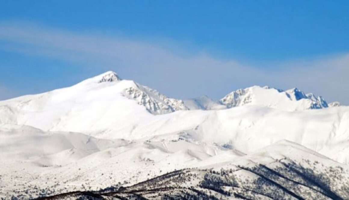 333611881 869044187539449 1768557572375199086 n