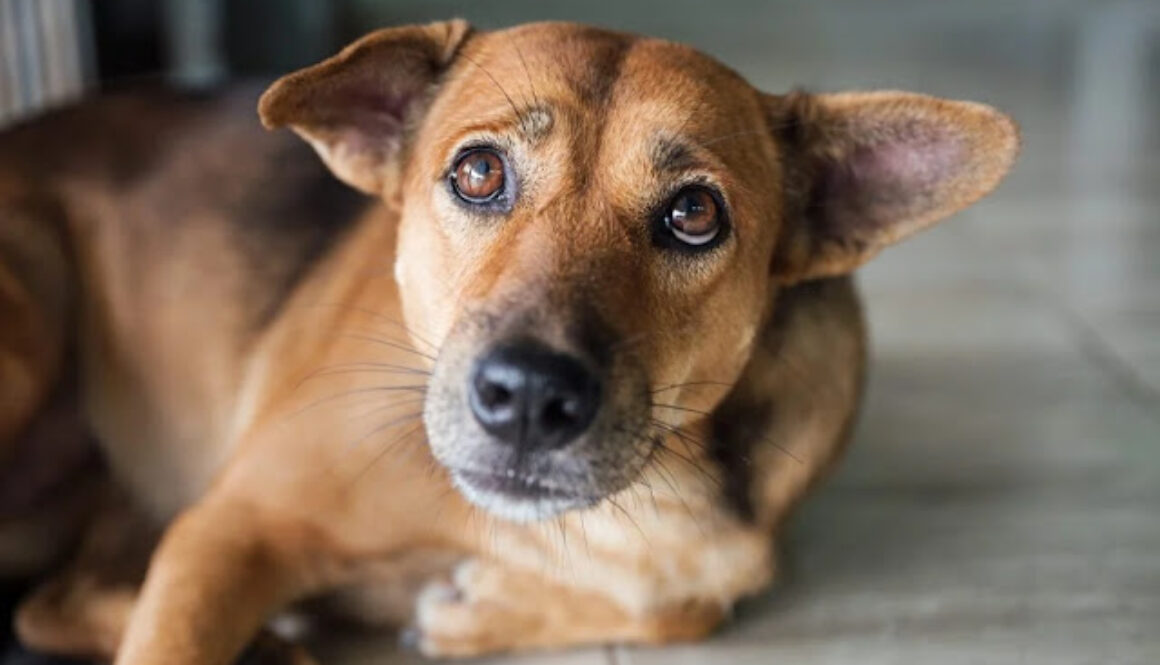 GettyImages 1253687037 e1649200221113 1024x684 1