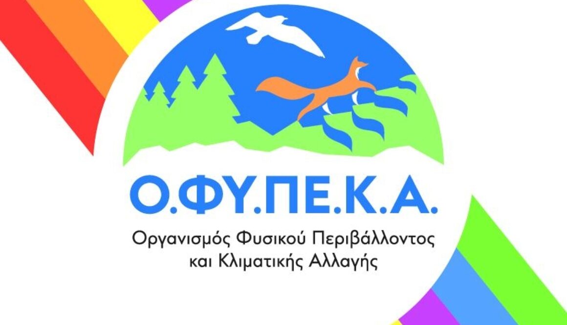 347244174 824208179128312 5626827334585206468 n