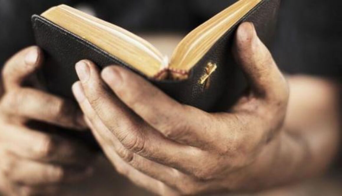 817a0b87c8b4a5b09390d4c2ae24ca96 xl1523128130