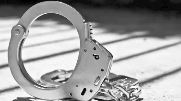 Συλλήψεις στη Θεσπρωτία για παράνομες χωματουργικές εργασίες σε παραλία