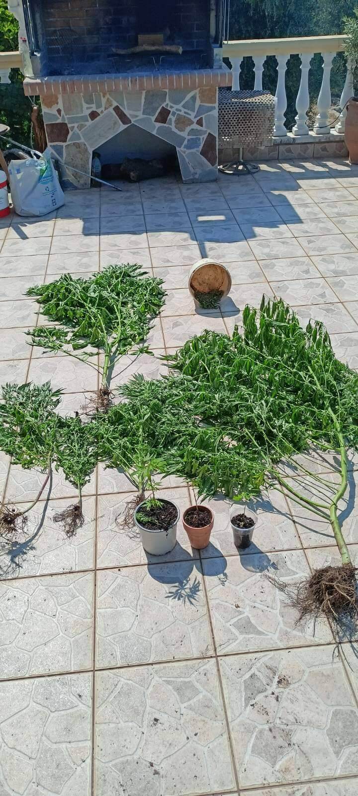 ΦΩΤΟ 2 ΦΩΤΟ 2