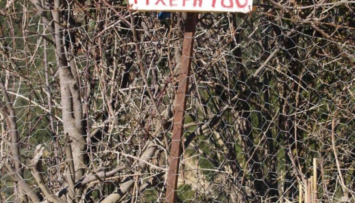 R P1014440 1 rotated