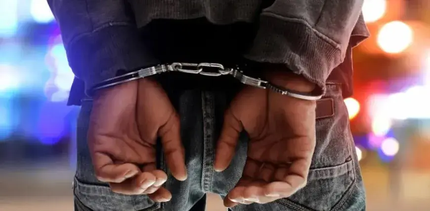 sillipsi 0 e1702464382794 (1)