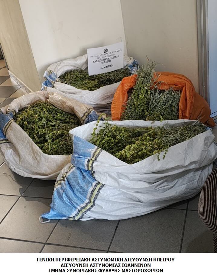 ΚΑΤΑΣΧΕΣΗ 28 ΚΙΛΩΝ ΣΙΔΕΡΙΤΗ (1)