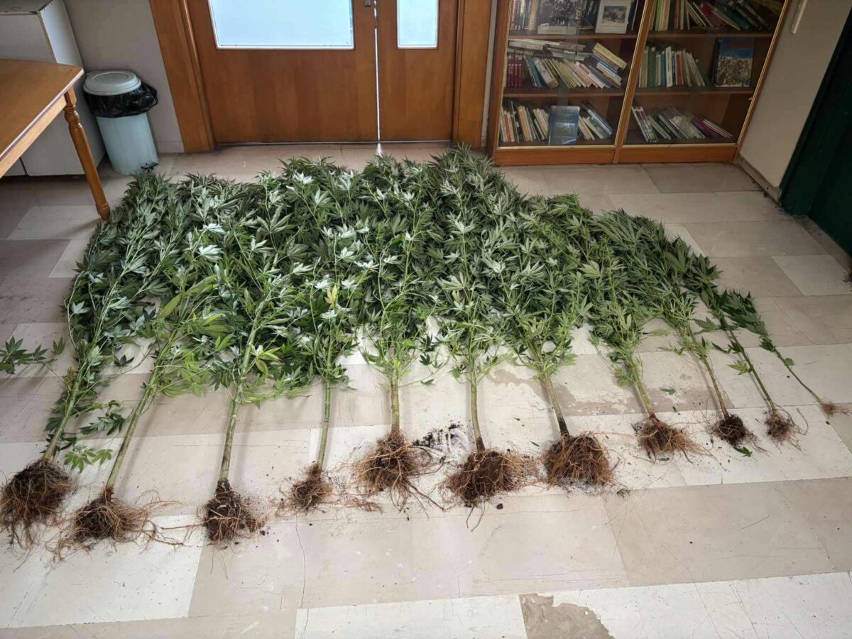 ΝΑΡΚΩΤΙΚΑ 2