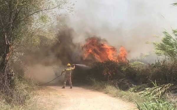 Στων καμένων την ολόμαυρη ράχη…