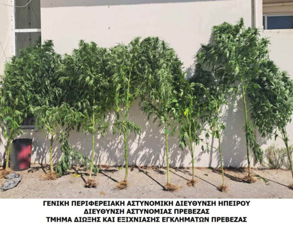 Σύλληψη για καλλιέργεια και κατοχή ναρκωτικών σε περιοχή της Πρέβεζας