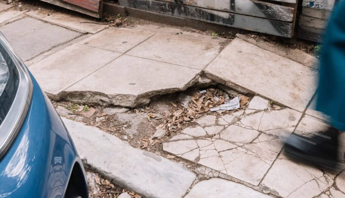 pezodromia MG 0033 (26)