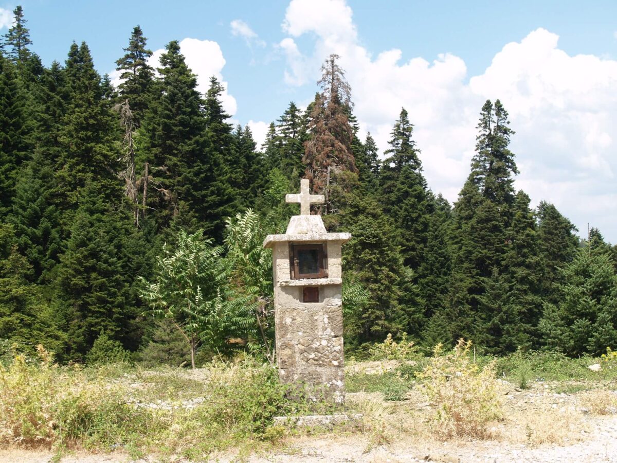 582537889 10240711406231773 3404093894497534528 n