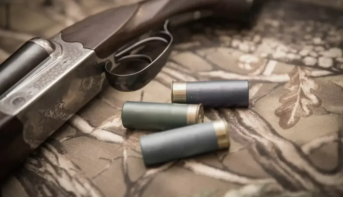 vintage gun g4473f8d9b 640 (1)