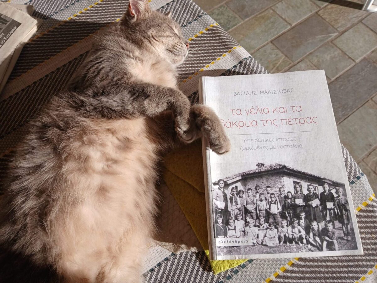 20251005 093432 scaled