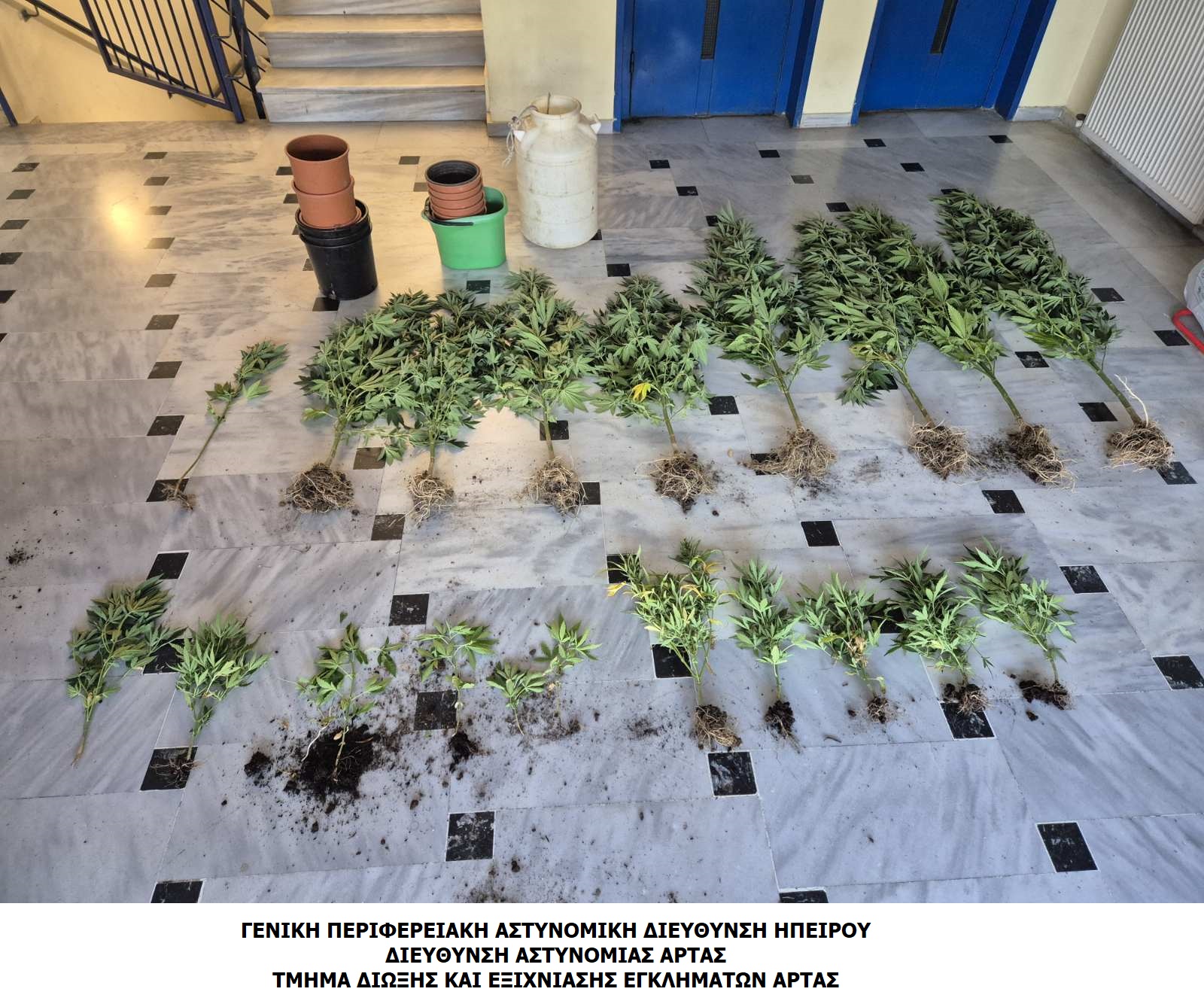 ΝΑΡΚΩΤΙΚΑ ΑΡΤΑ