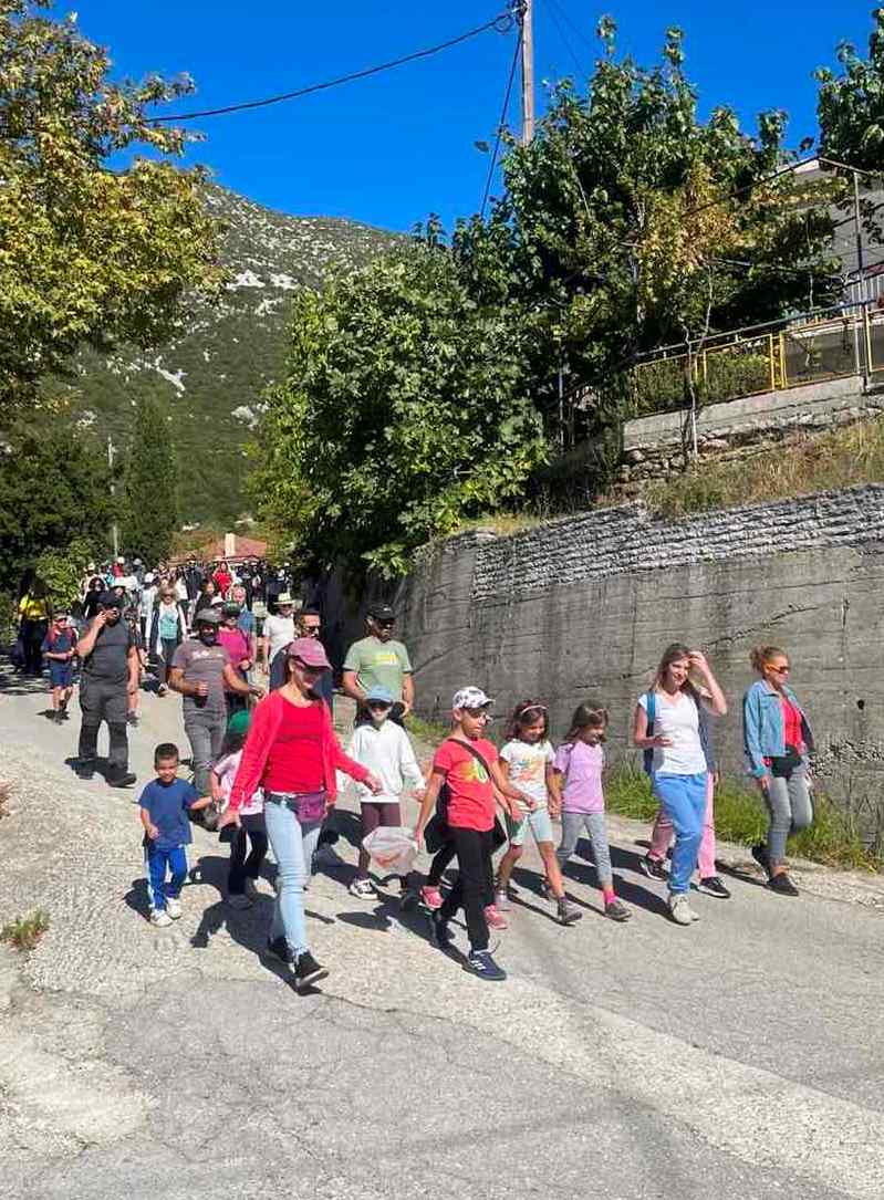 dromos kastanoy platania1
